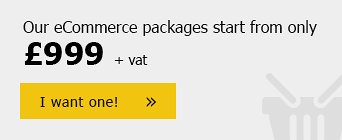 Our eCommerce packages start from only £999 +vat